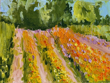 Color Fields by artist Ann Johnson
